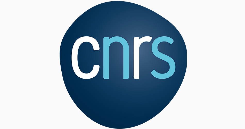 Logo CNRS