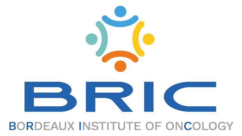 Logo BRIC